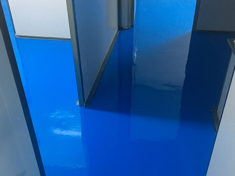 ������ƺ����